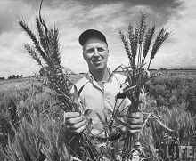 Norman Borlaug - DR Life
